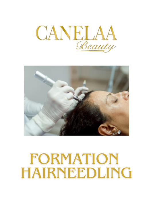 FORMATION HAIRNEEDLING TRAITEMENT ALOPÉCIE & TEMPES DÉGARNIES - CPF